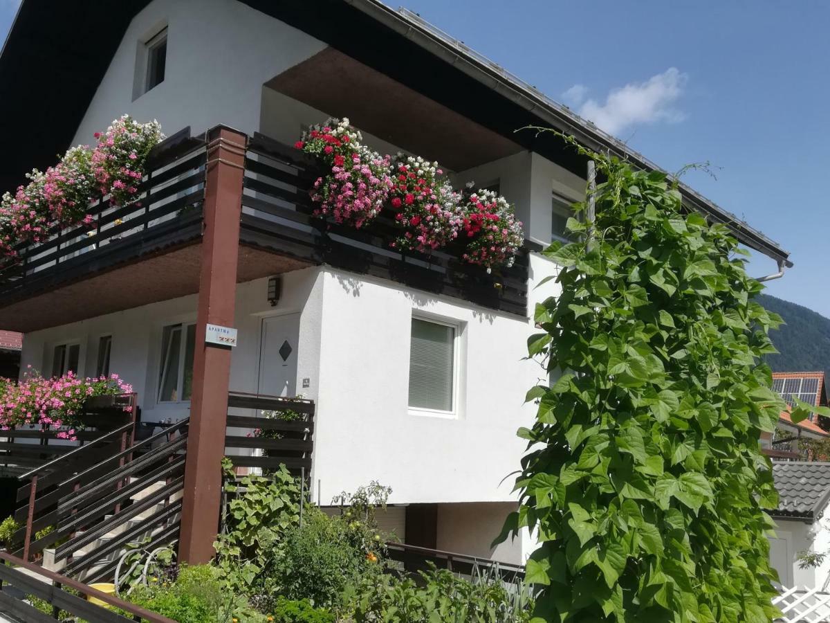 Apartmaji Gros 크라니스카고라 외부 사진